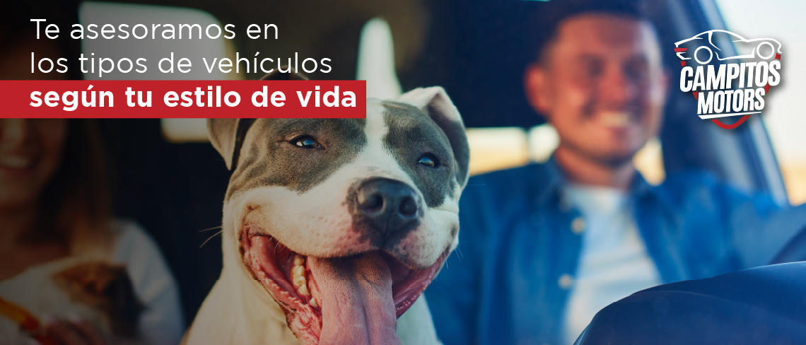 Te asesoramos en los tipos de vehículos según tu estilo de vida